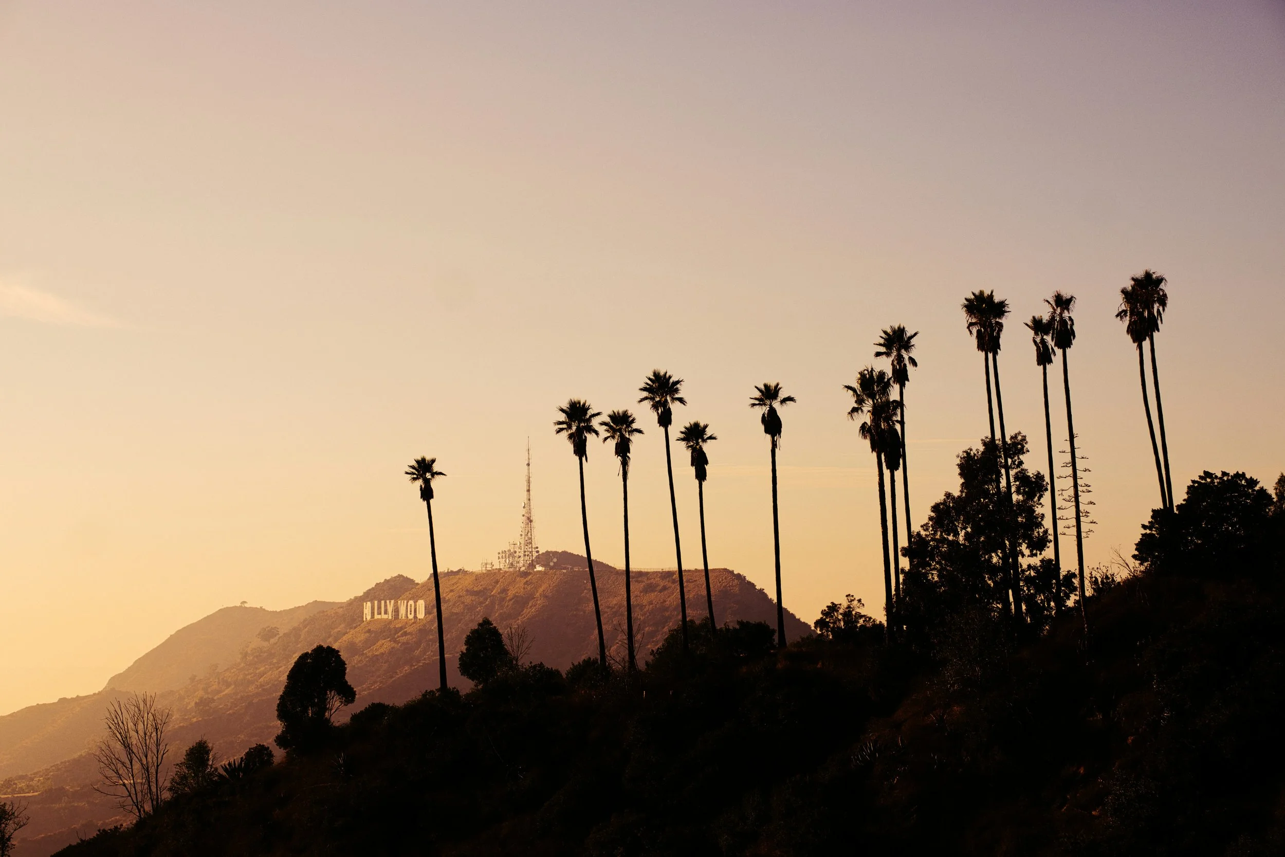 Kambo Treatment (Los Angeles, CA)