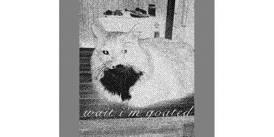 steve4web.jpg