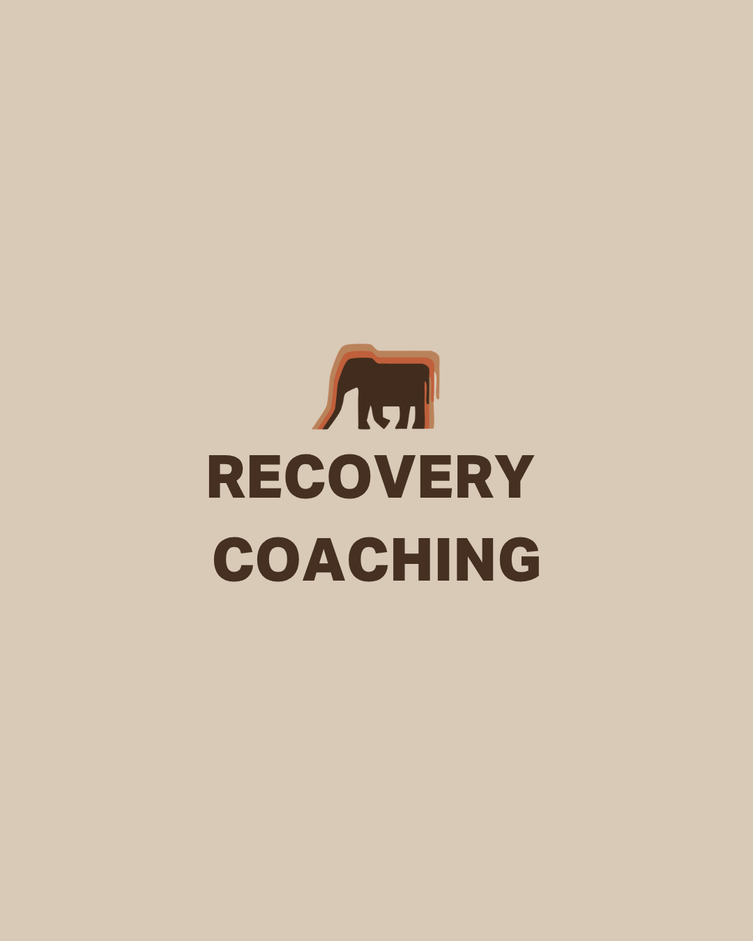 Recovery Coaching (12 Sessions)