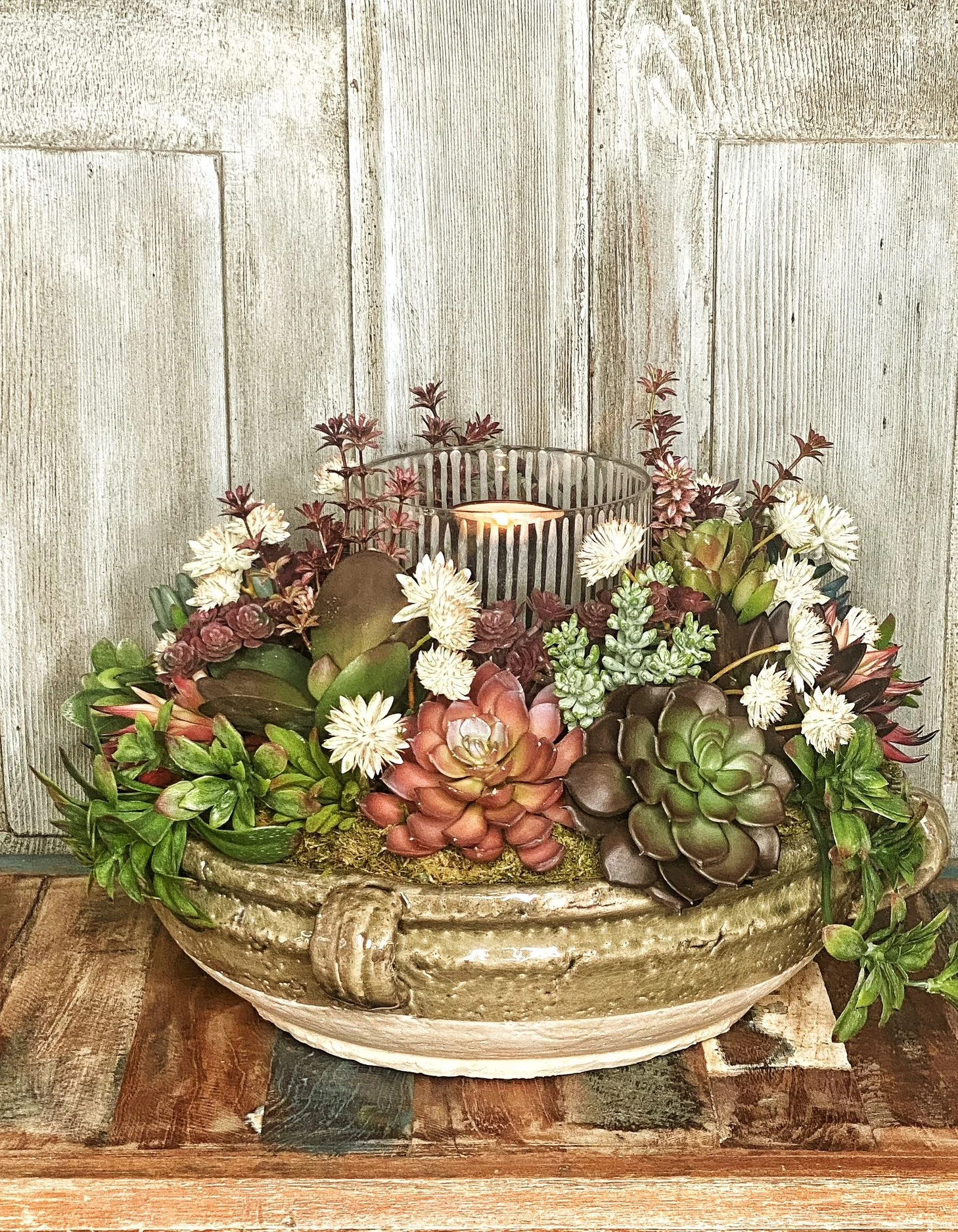 The Desert Wildflower