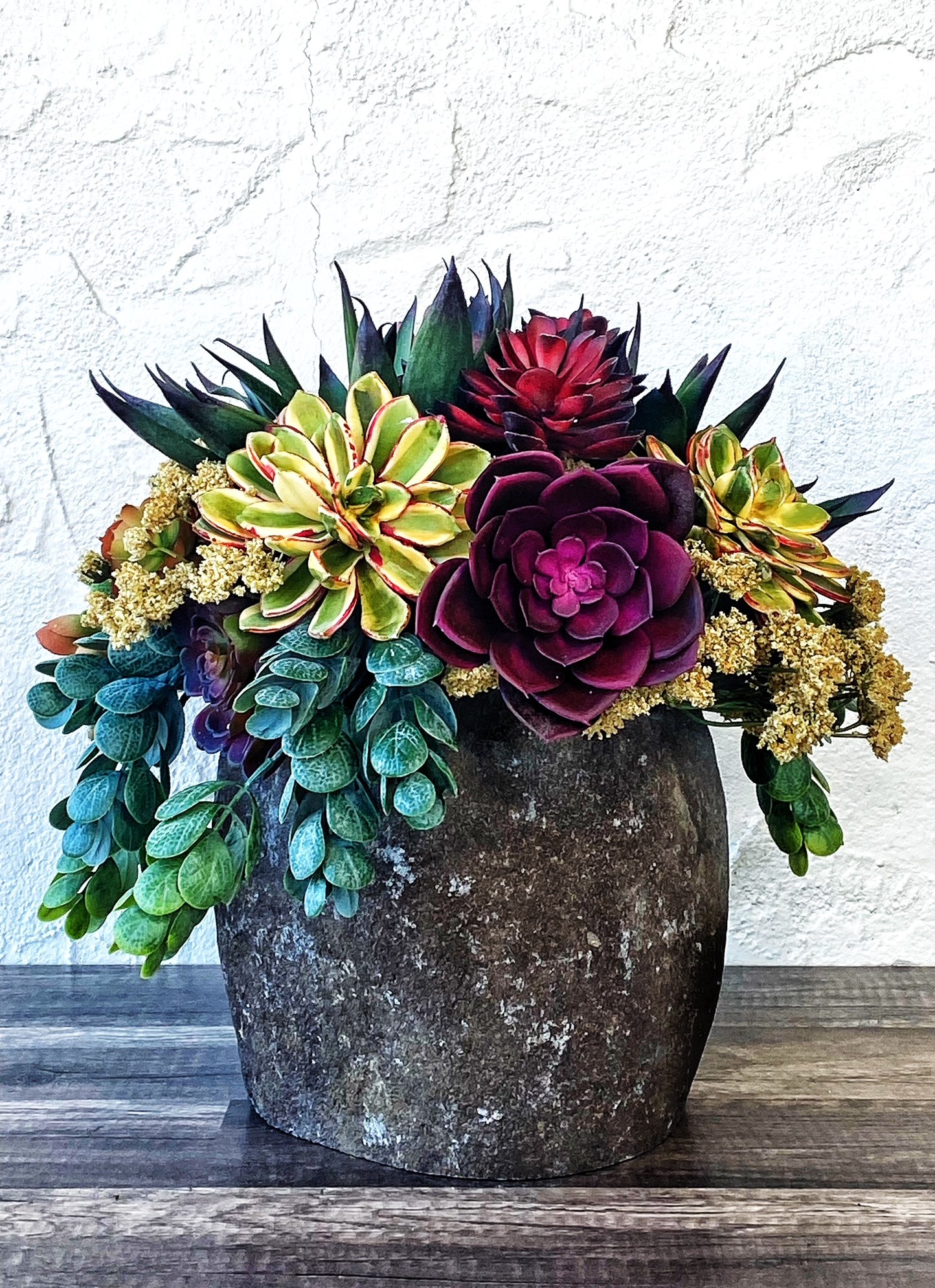 Velvet & Stone: A Succulent Symphony