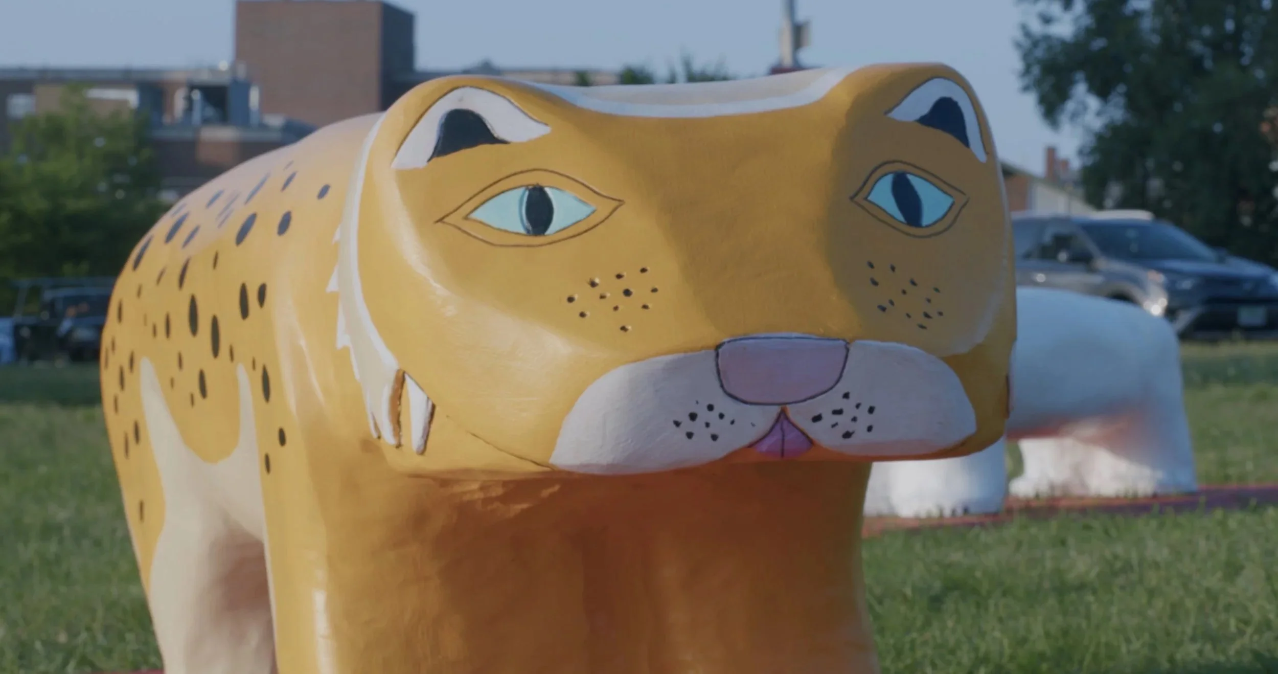 Carousel Cosmos by Chris Miller (2023)