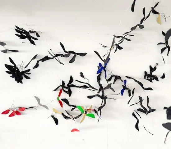  SAMARAS  detail 
  Maple seeds, Flasche paint, gold wire, gold nails
 9’ X 27’ 
2025 
 