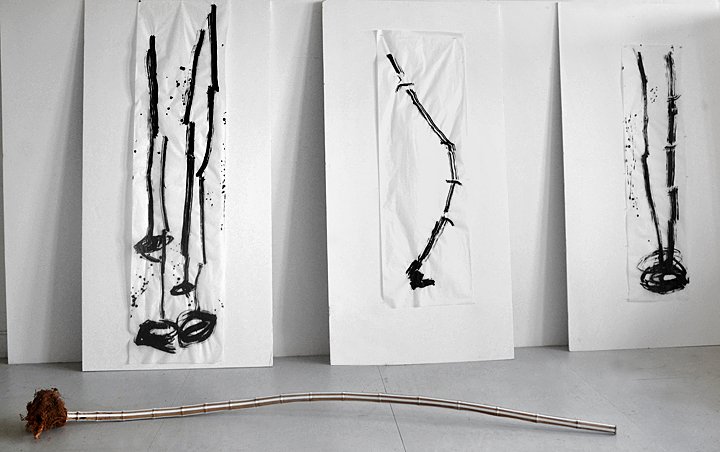  SNAKE ROOT AND SNAKE ROOT DRAWINGS  
 Bamboo with root attached and tape; tsumi ink drawings on vellum made with bamboo root 
2012  
 