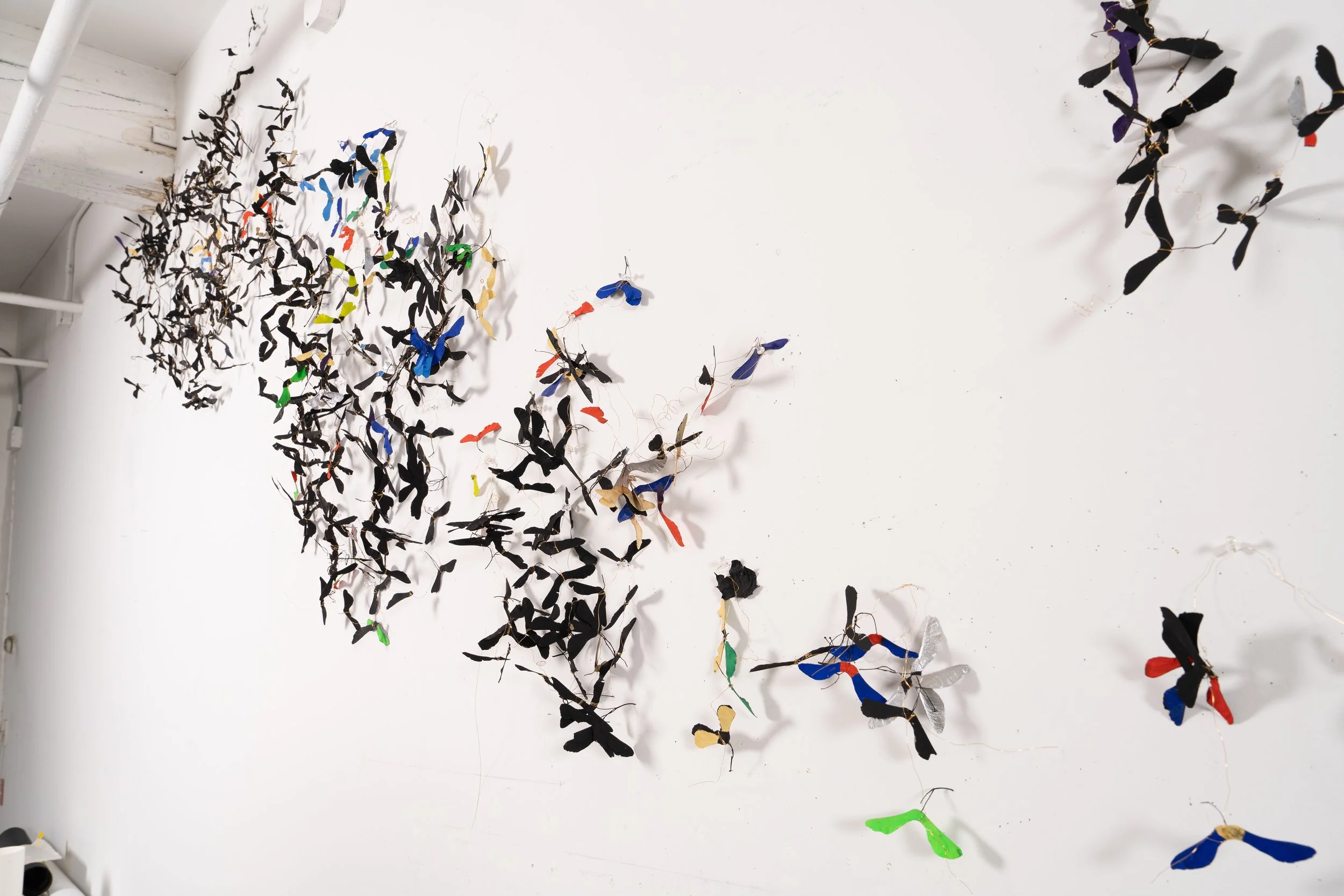  SAMARAS  detail 
  Maple seeds, Flasche paint, gold wire, gold nails
 9’ X 27’ 
2025 
 