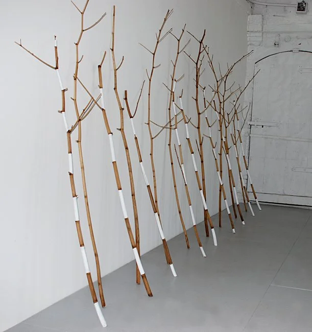  QUIET WHITE  oblique view 
Japanese knotweed and gesso 
7' X 13'6" X 20", dimensions variable 
2009 
 