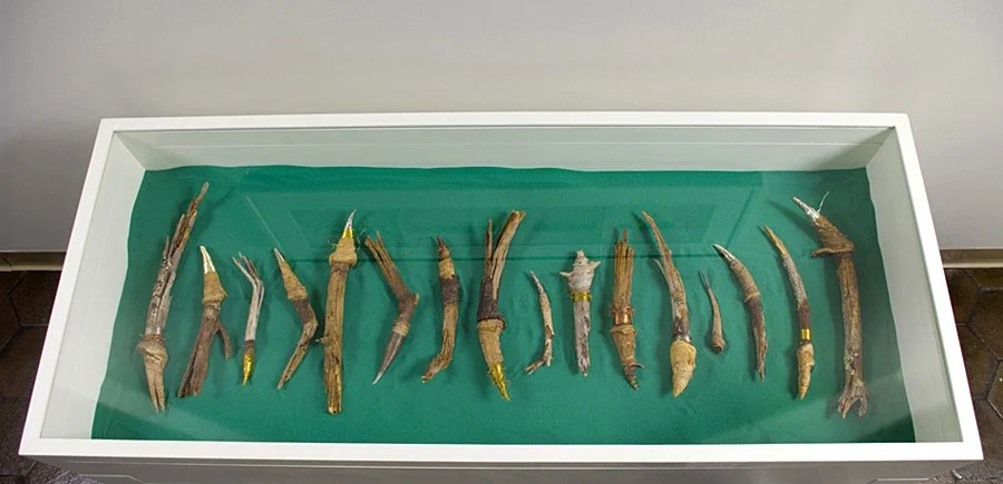  WHAT GROWS WITHIN  
Tree branch roots, wire, green sand in vitrine 
57" X 24" X 34", arrangement variable 
2006-2008 
 