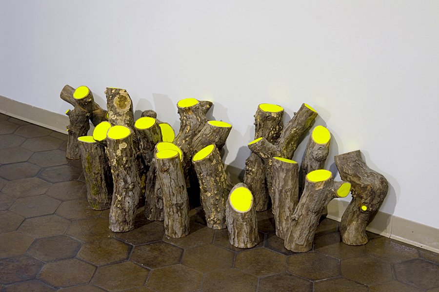  REUNION,  oblique view 
Acrylic paint on oak branches 
Branches approx. 24" X 6", arrangement variable 
2006-2008 
 