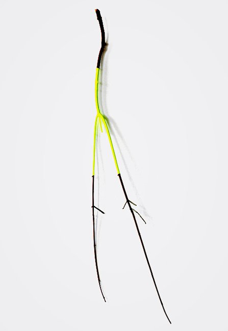  STICK BOY  
 Stick, fluorescent acrylic paint, wire 
30" X 12"  
2008 
 