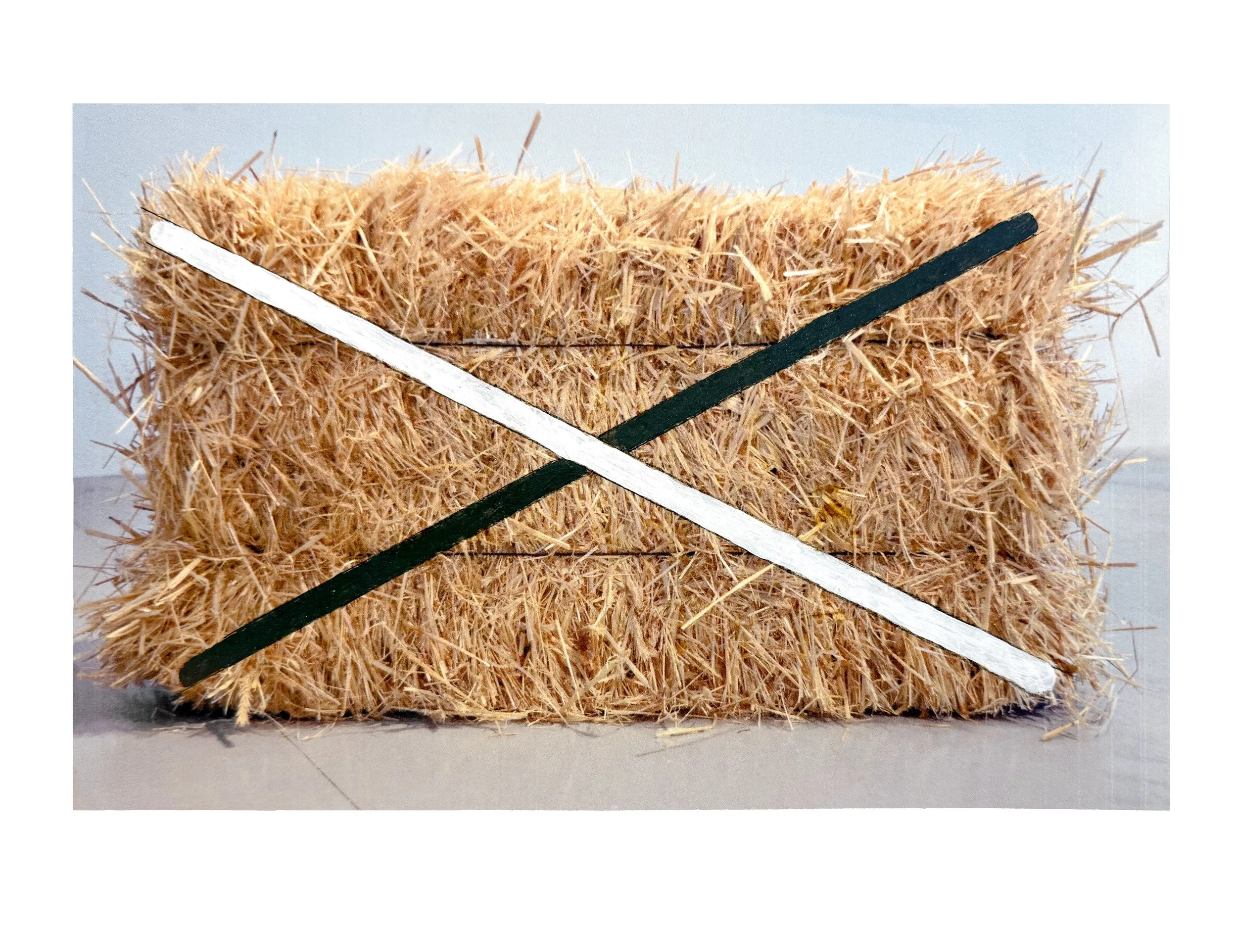  THE LAST STRAW  
Paint on photograph 
11”X 17” 
2000  
 