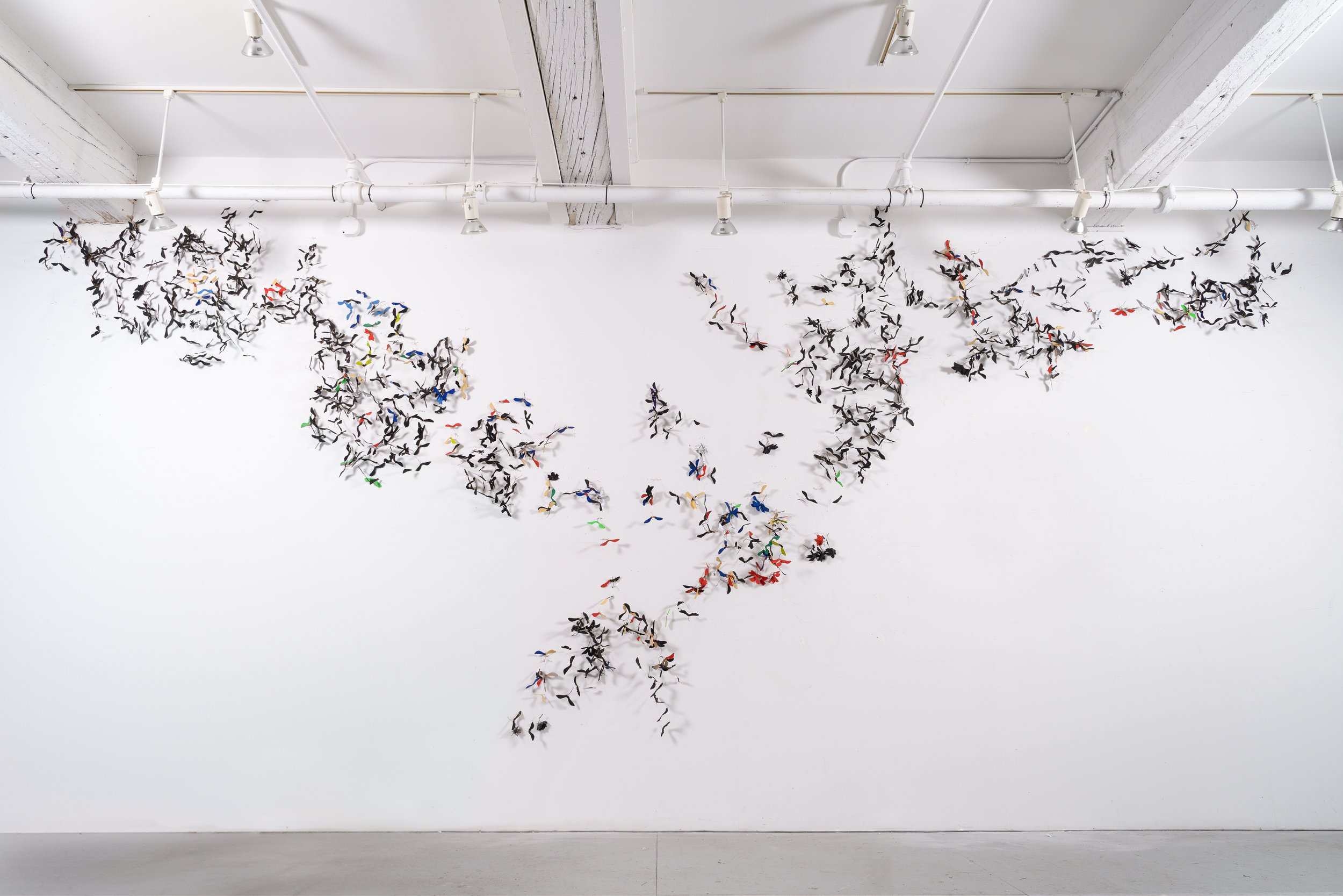  SAMARAS  
  Maple seeds, Flasche paint, gold wire, gold nails
 9’ X 27’ 
2025 
 