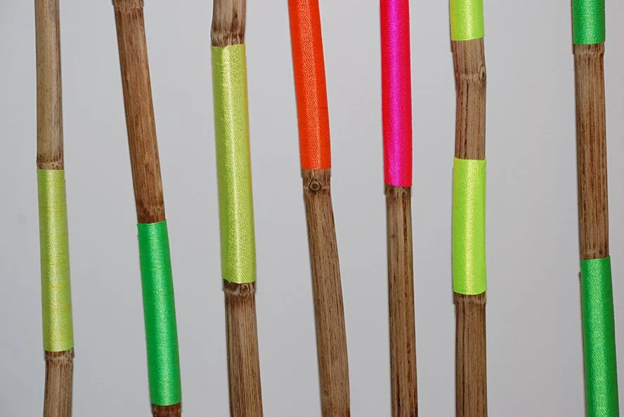  GLORY,  detail 
Japanese knotweed and flourescent nylon cord 
10' X 6'3" X 12", arrangement variable 
2010 
 