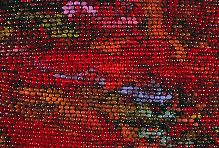  PAINTED RED  detail   Oil paint on black beans, canvas  18" X 108"  1989  