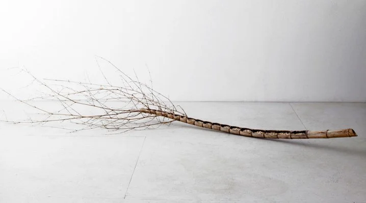  SKELETON BOAT  
Bamboo with gravel 
4'X 9' 
2011 
 