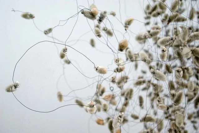  SWARM  detail 
Pussy willow catkins and wire 
3' X 8' 
2006-2008 
 