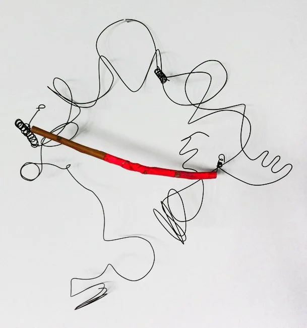  PINK WITH LOOPS  
 Branch, acrylic paint and wire 
24" X 24"  
2008 
 