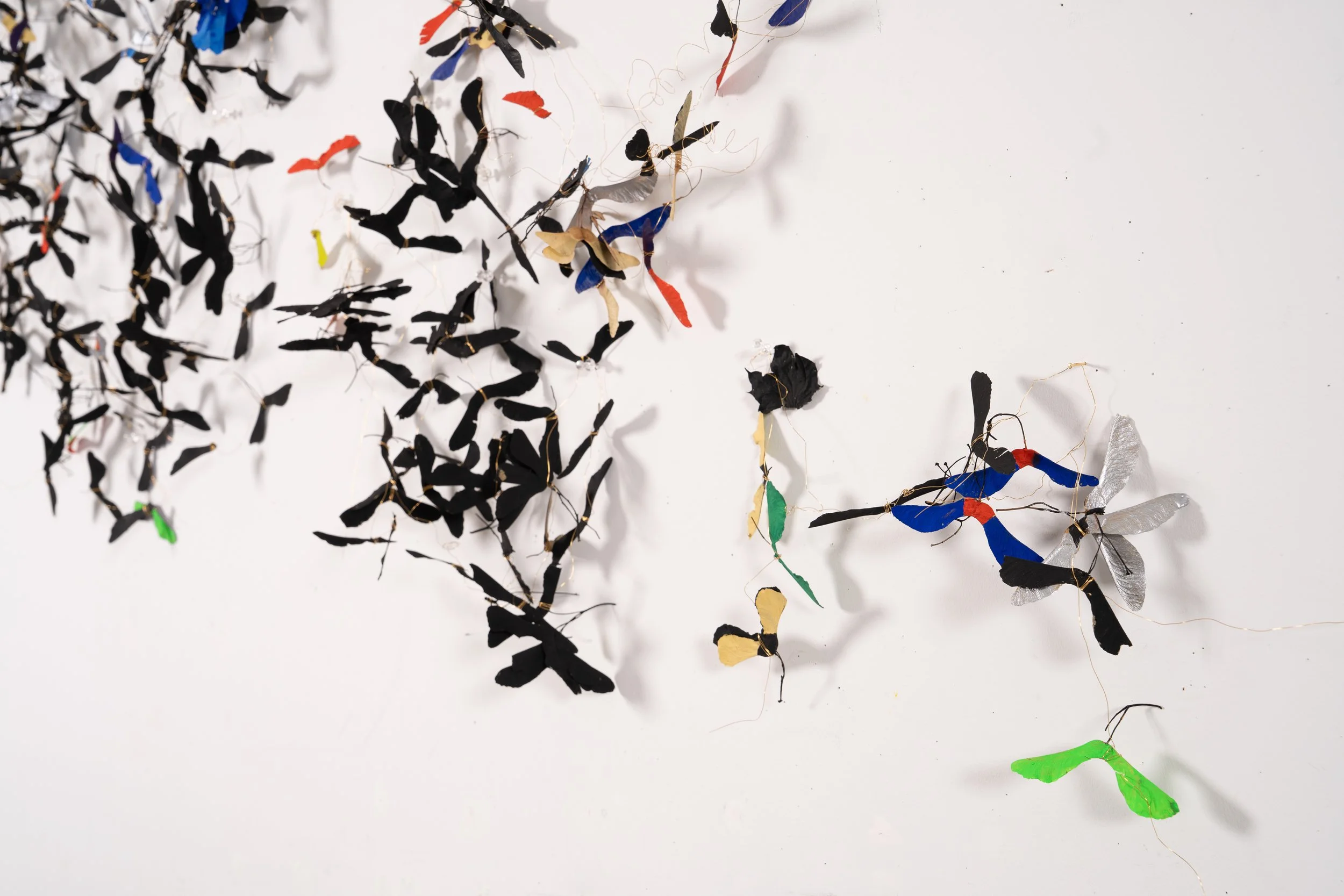  SAMARAS  detail 
  Maple seeds, Flasche paint, gold wire, gold nails
 9’ X 27’ 
2025 
 