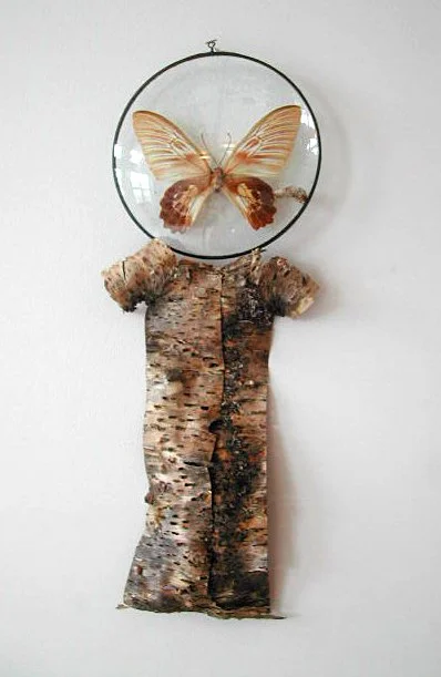  LITTLE BARK DRESS    Spruce tree bark, moth and glass  12” X 3”  2007  