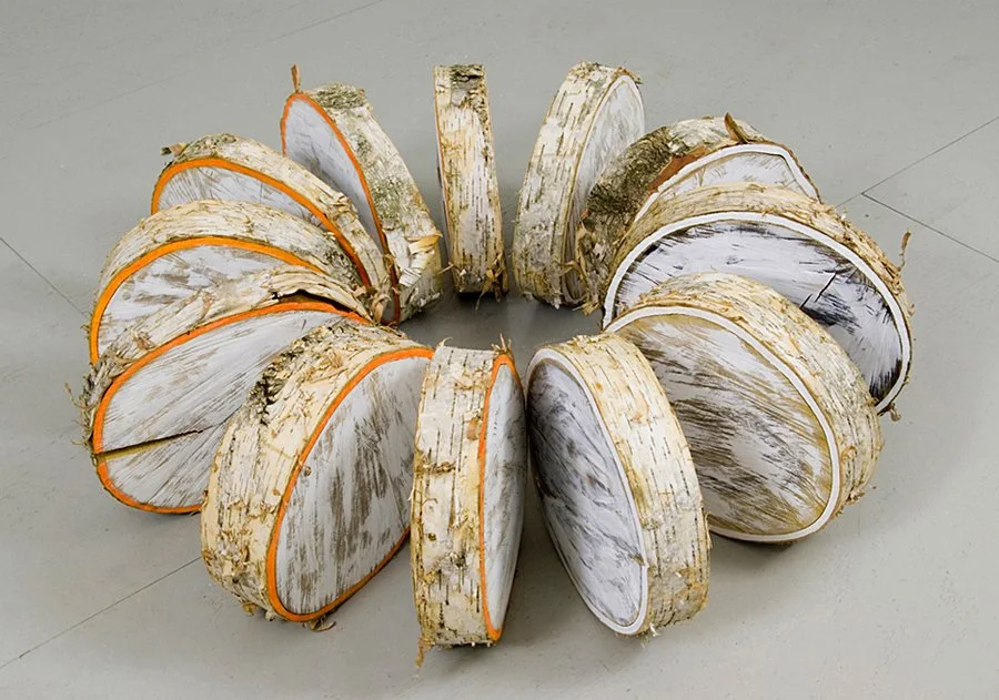  ORANGE SLICE  
White birch and acrylic paint 
5' X 5' 
2008 
 