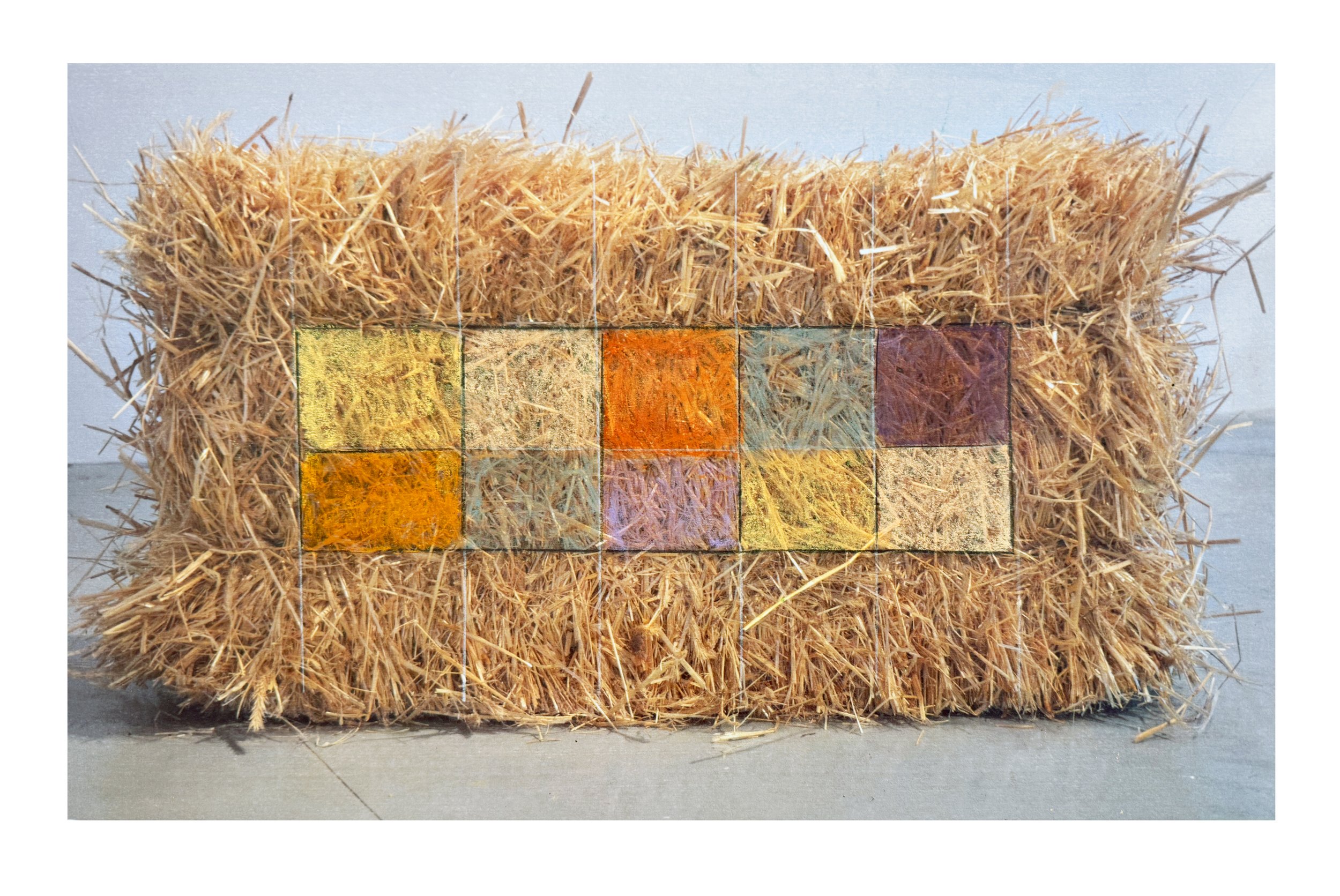  STRAW STUDY ll  
 11” X 17” 
Pastel on photograph 
2000  
 