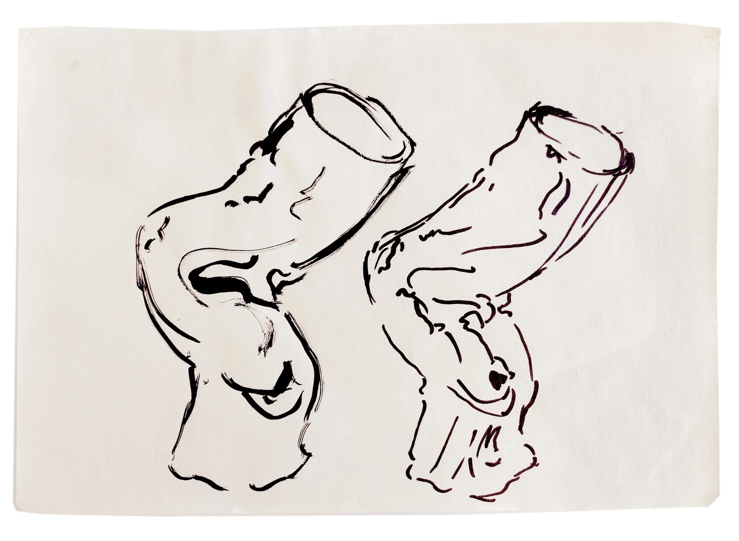  STUMP DRAWING SERIES  
 Ink on paper    