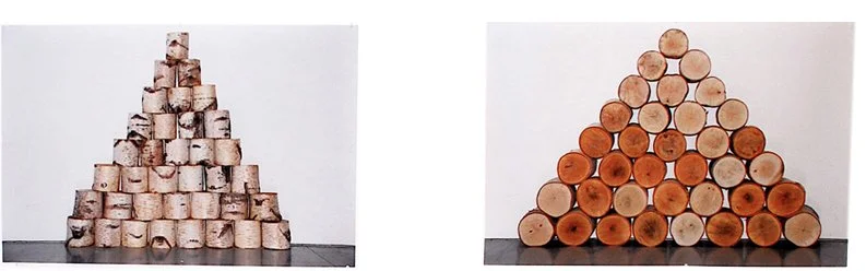  TWO UNTITLED  
Photographs 
31" X 42" 
2008 
 