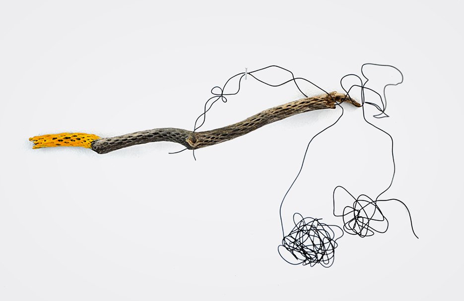  ORANGE OCOTILLO  
 Dried ocotillo cactus, wire and acrylic paint 
12" X 24"  
2008 
 