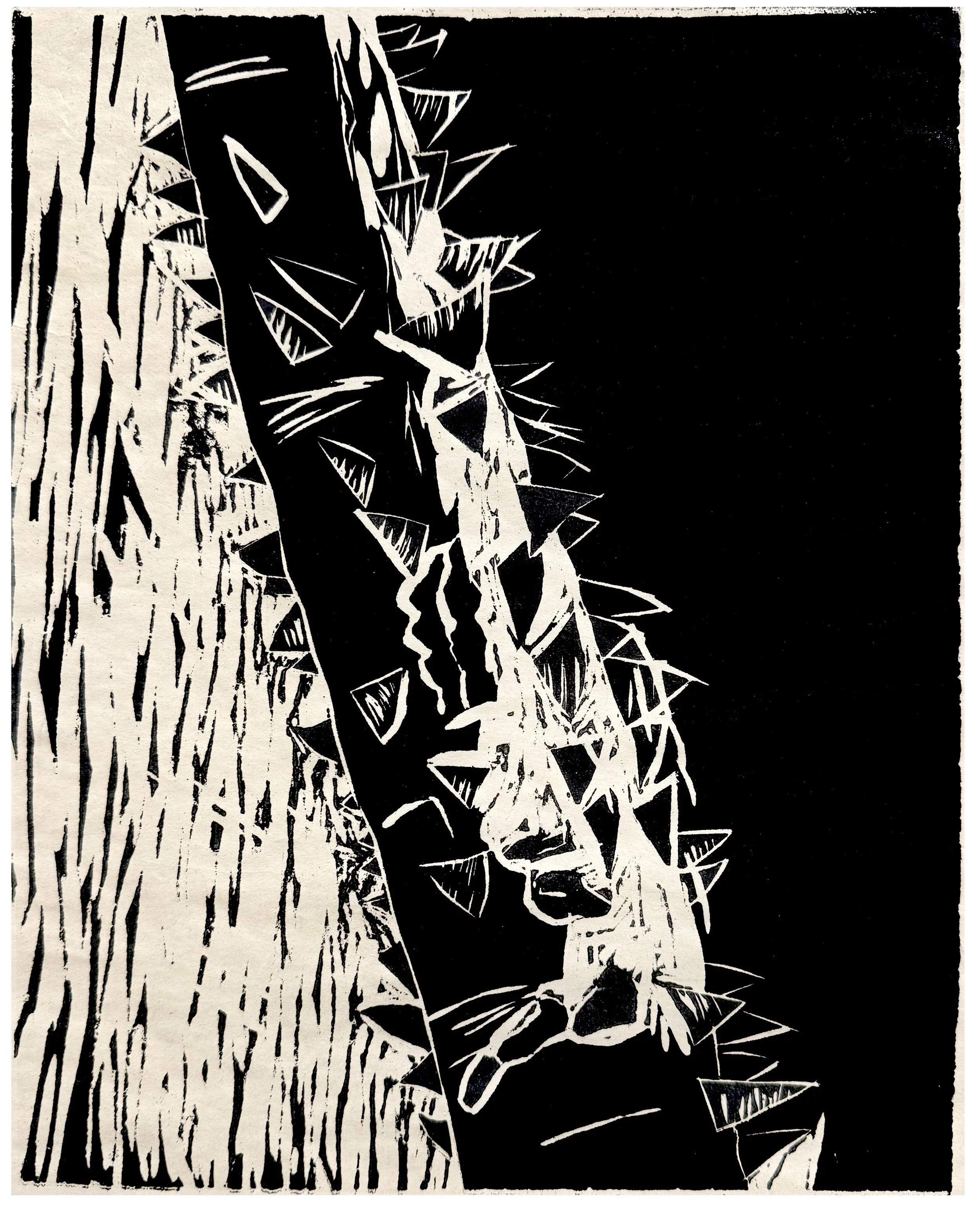  THORNS  
 B & W woodcut 
10” X 8” 
2017  
 
