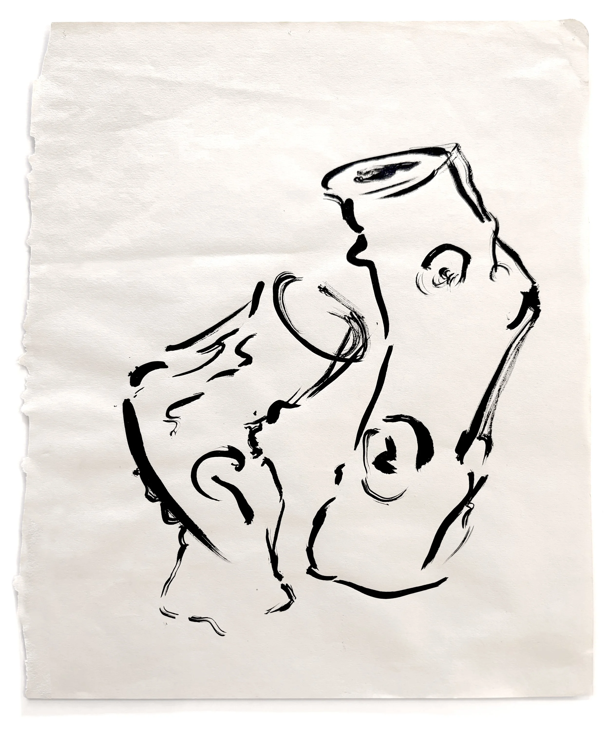  STUMP DRAWING SERIES  
 Ink on paper    