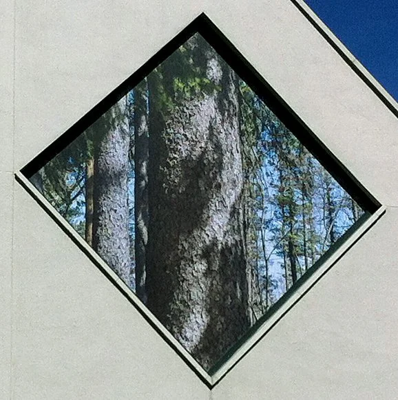  SIX LADDERS   detail 
Bamboo and alkyd enamel paint and photo enlargements  
Ladder, 4' X 30' and  photos, 9' X 9' and 5' X 5'  
2013 
 