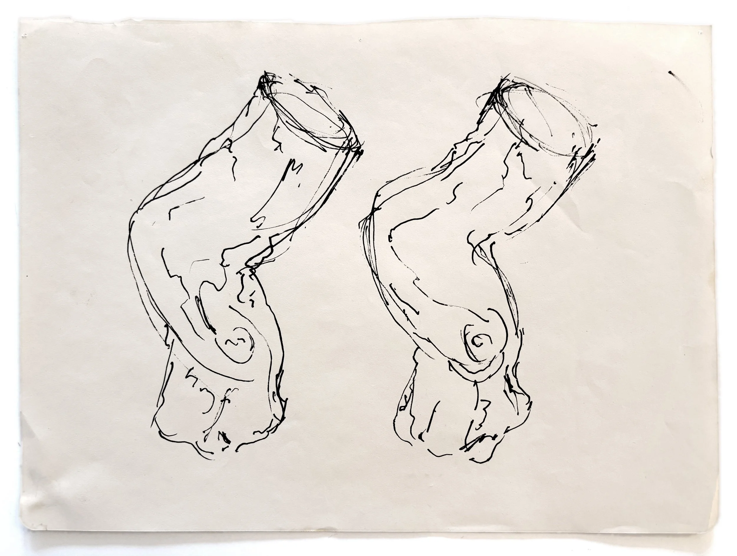  STUMP DRAWING SERIES  
 Ink on paper    