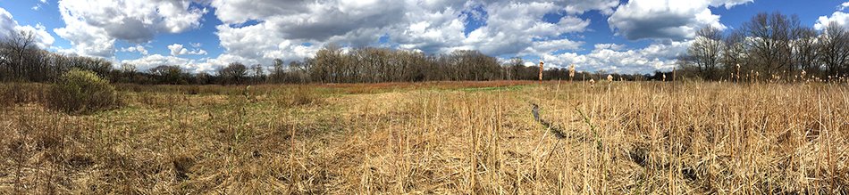  PRAIRIE VII   
 Archival photographic pigment print on cotton rag paper  
13“ X 38“ (framed)  
2014   
 