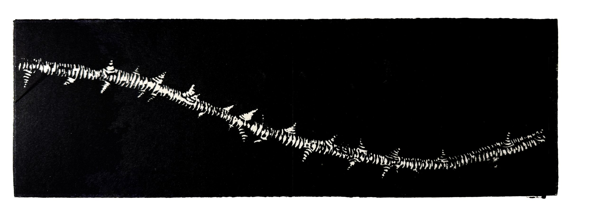 ROSE BRANCH  
 B & W wood cut 
4” X  12” 
2017  
 