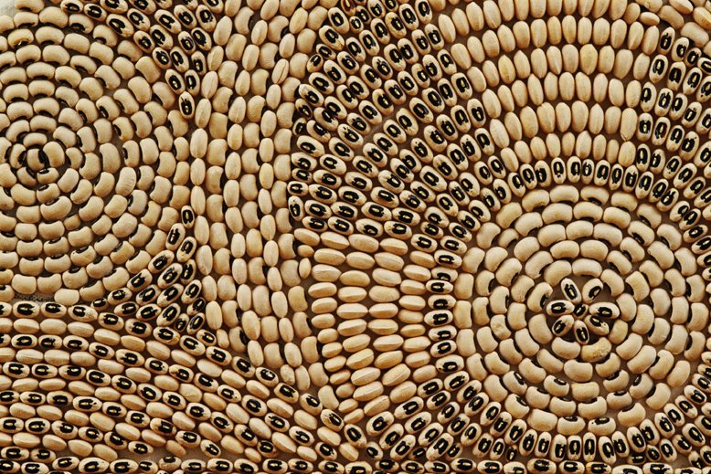  BLACK EYE  detail   Black eyed peas, canvas  36" X 48"  1989  