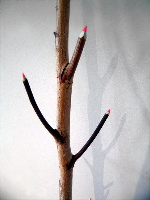 Detail,  WINDOW   Acrylic paint, birch and cord balanced with no fastenings  108" X 96" X 12"   2007  