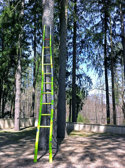  SIX LADDERS   
Katonah Museum of Art Sculpture Garden 
Bamboo and alkyd enamel paint 
Ladders, 20' X 3'  
2013 
 