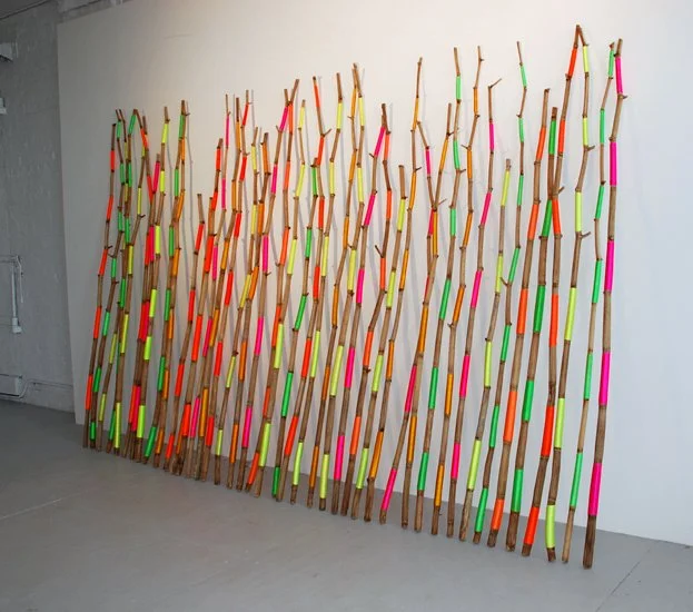  GLORY  
Japanese knotweed and flourescent nylon cord 
10' X 6'3" X 12", arrangement variable 
2010 
 