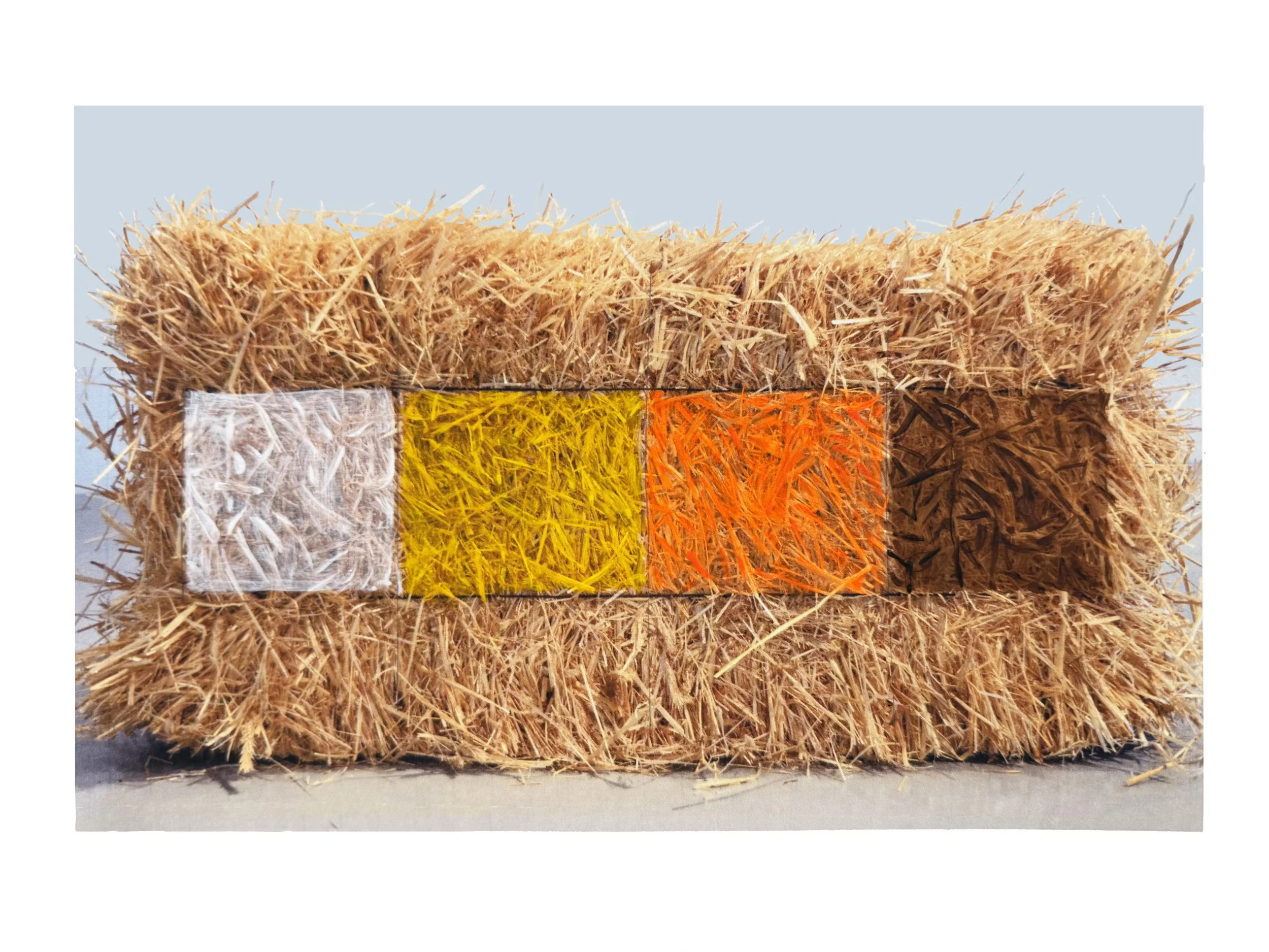  STRAW STUDY l   
 Pastel on photograph  
8” X 11”  
2000  
 