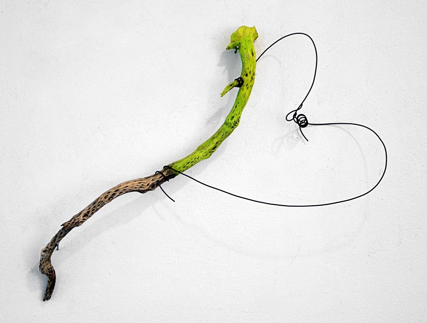  GREEN OCOTILLO  
 Dried ocotillo cactus, acrylic paint and wire 
22" X 24"  
2008 
 