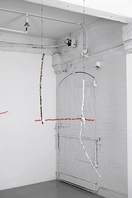  HANGING ON    Rose branches, thorns and acrylic paint  5’ X 3’ X 1’   2007  