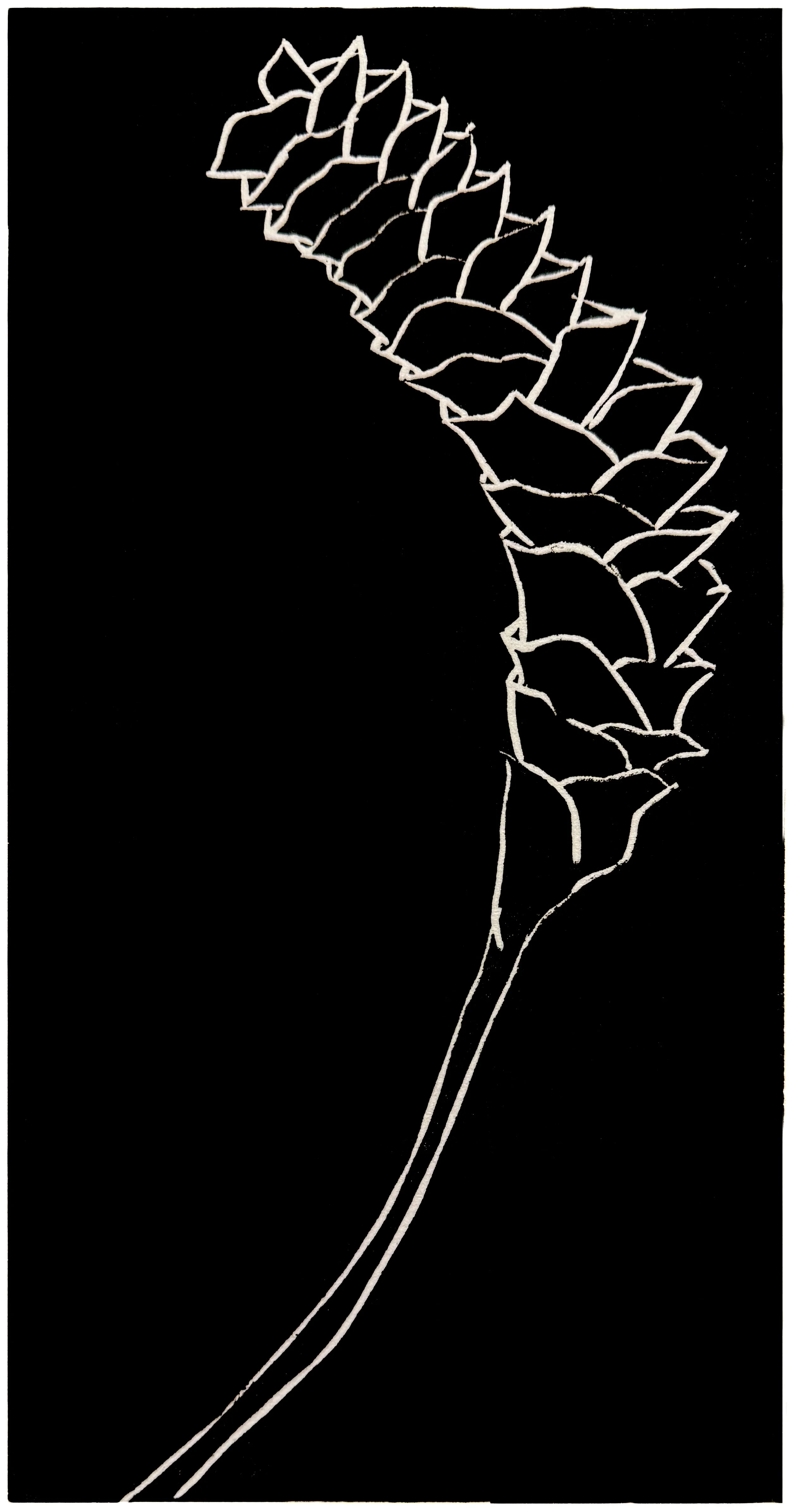  POD  
 B & W woodcut 
8” X 4” 
2017  
 