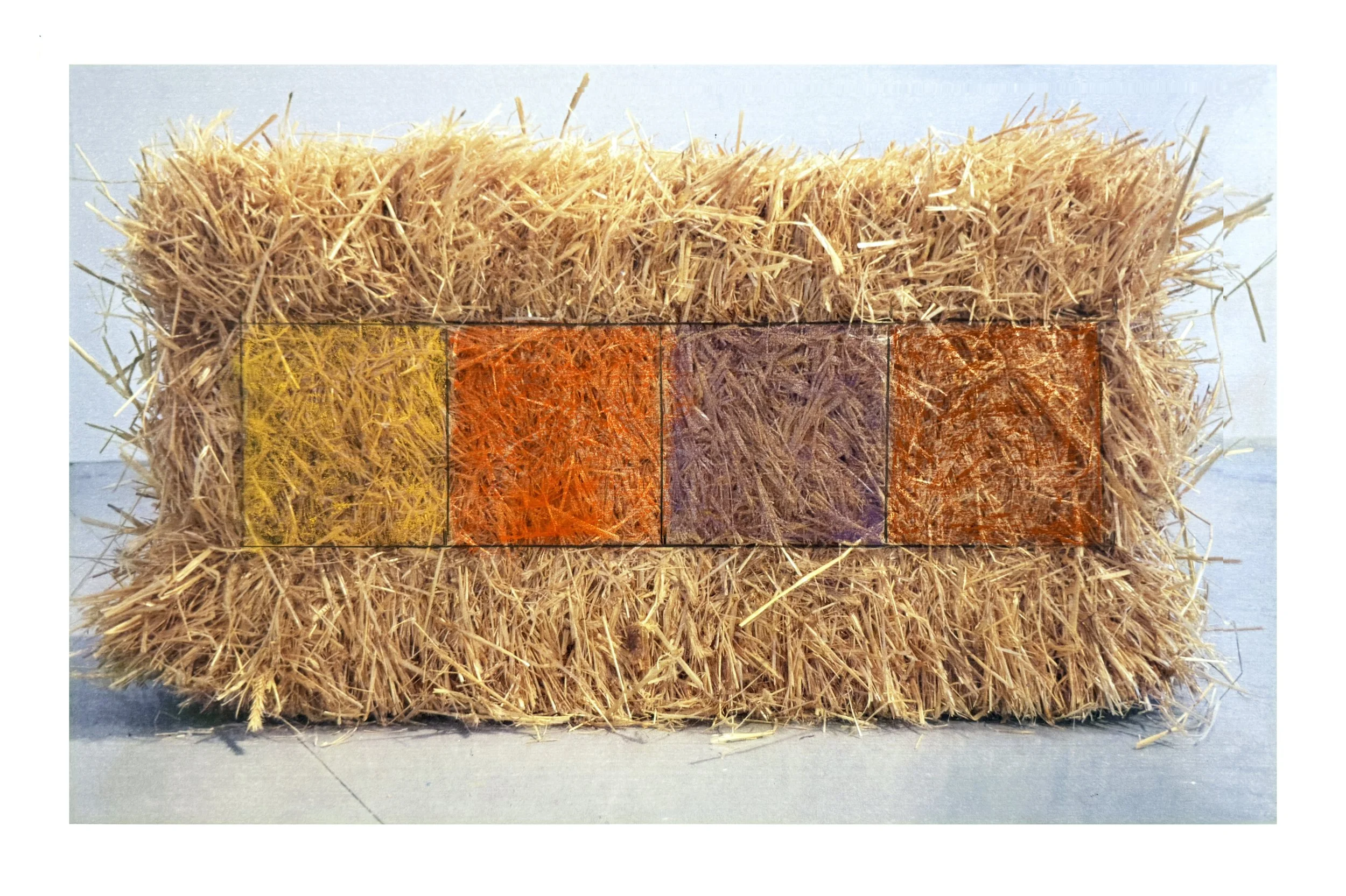  STRAW STUDY lV  
 Pastel on photograph 
11” X 17”  
2024 
 