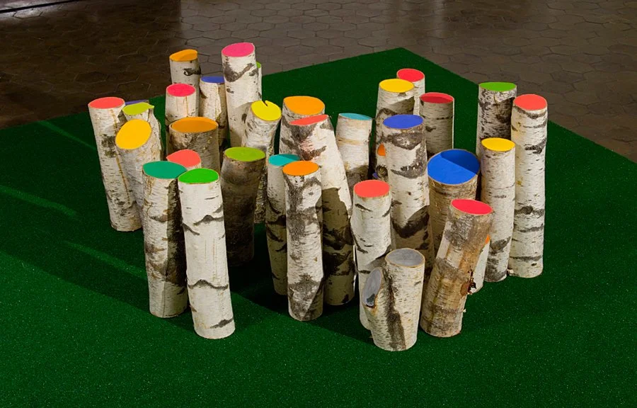  GROVE  
Acrylic paint on birch tree trunks, Astroturf 
24" X 12' X 12' 
2008 
 