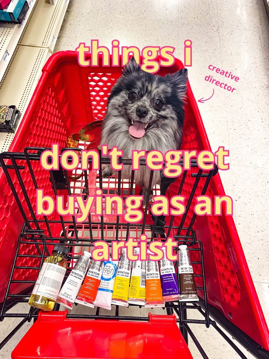 a responsible use of funds, according to the creative director 🐶