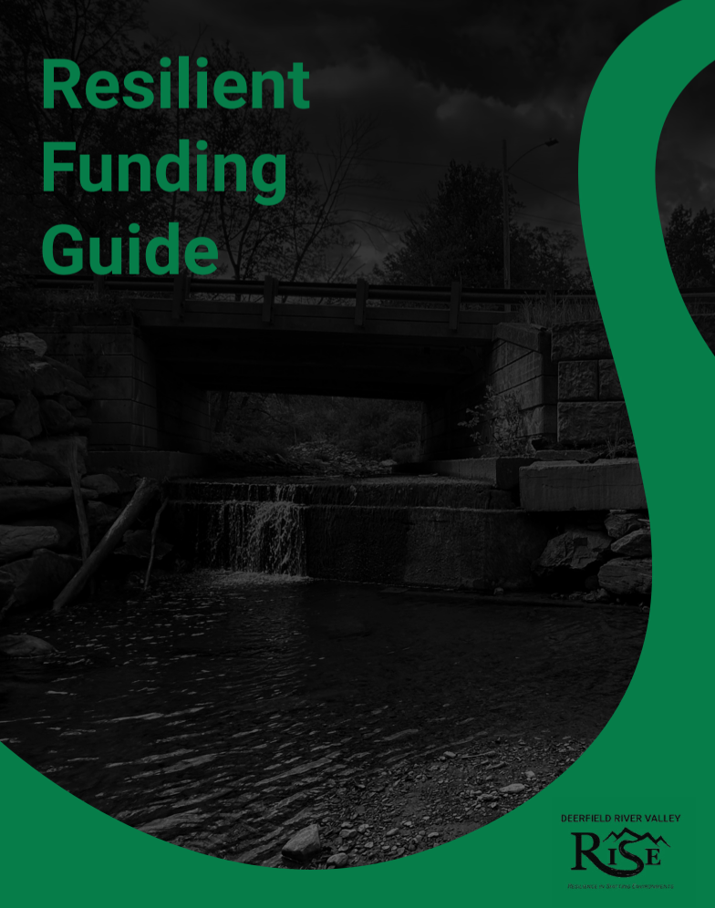 Resilient Funding Guide
