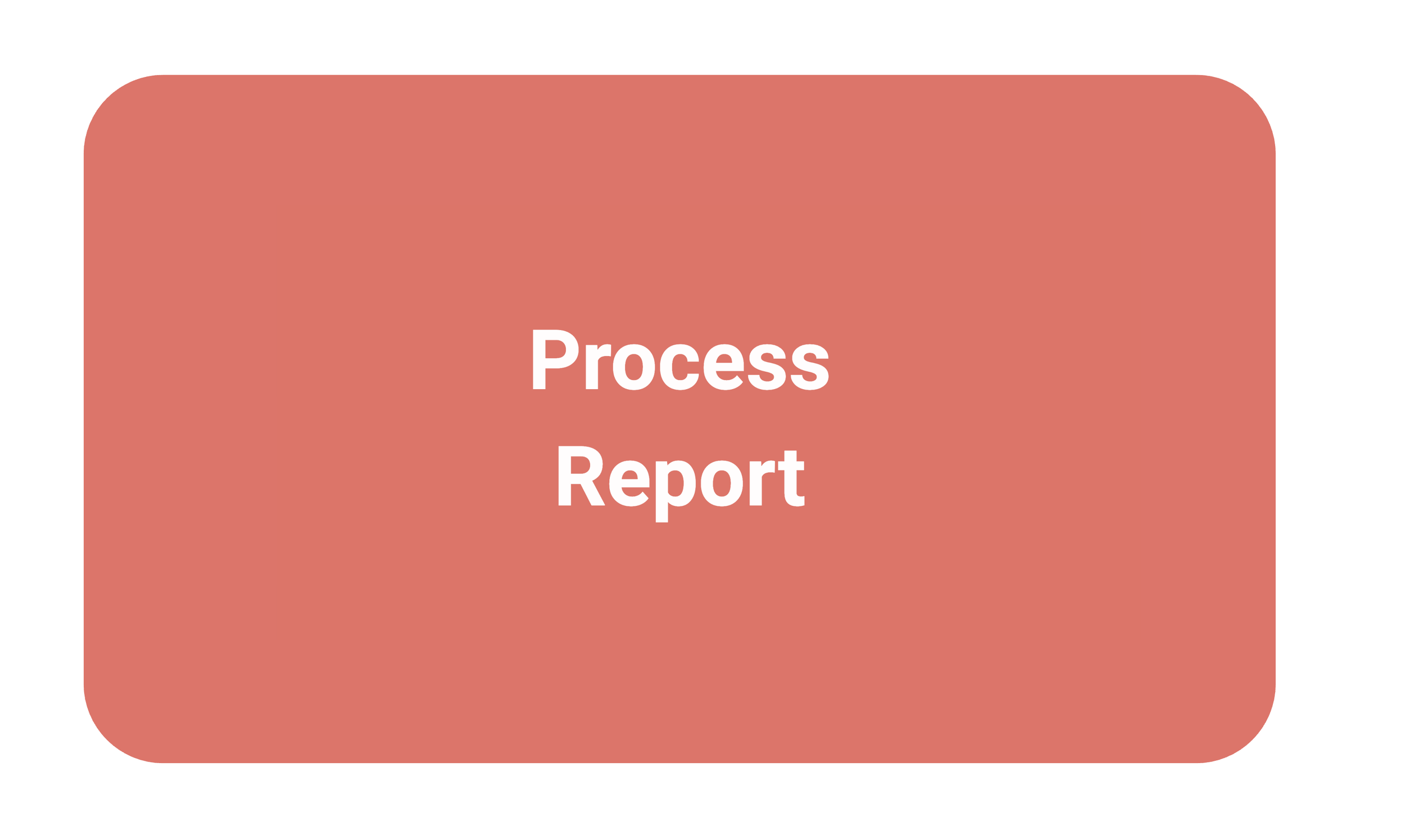 Process Report