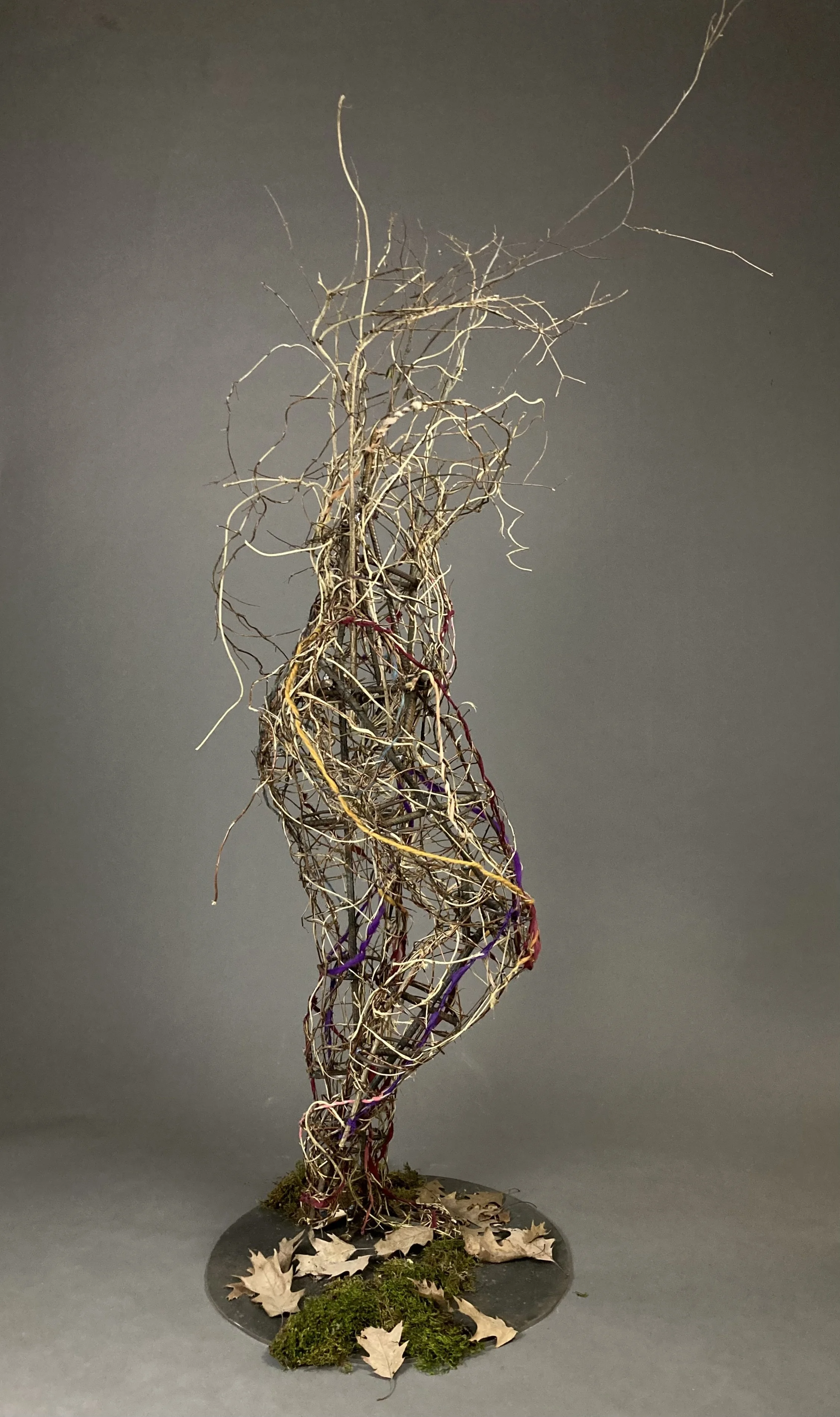 unbound (sideview).jpg