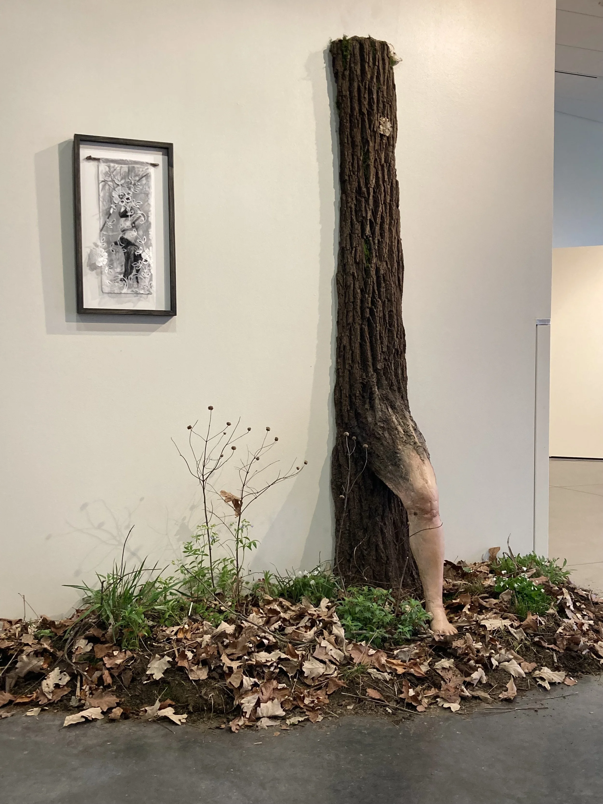 HannahWeck_New Growth.jpg