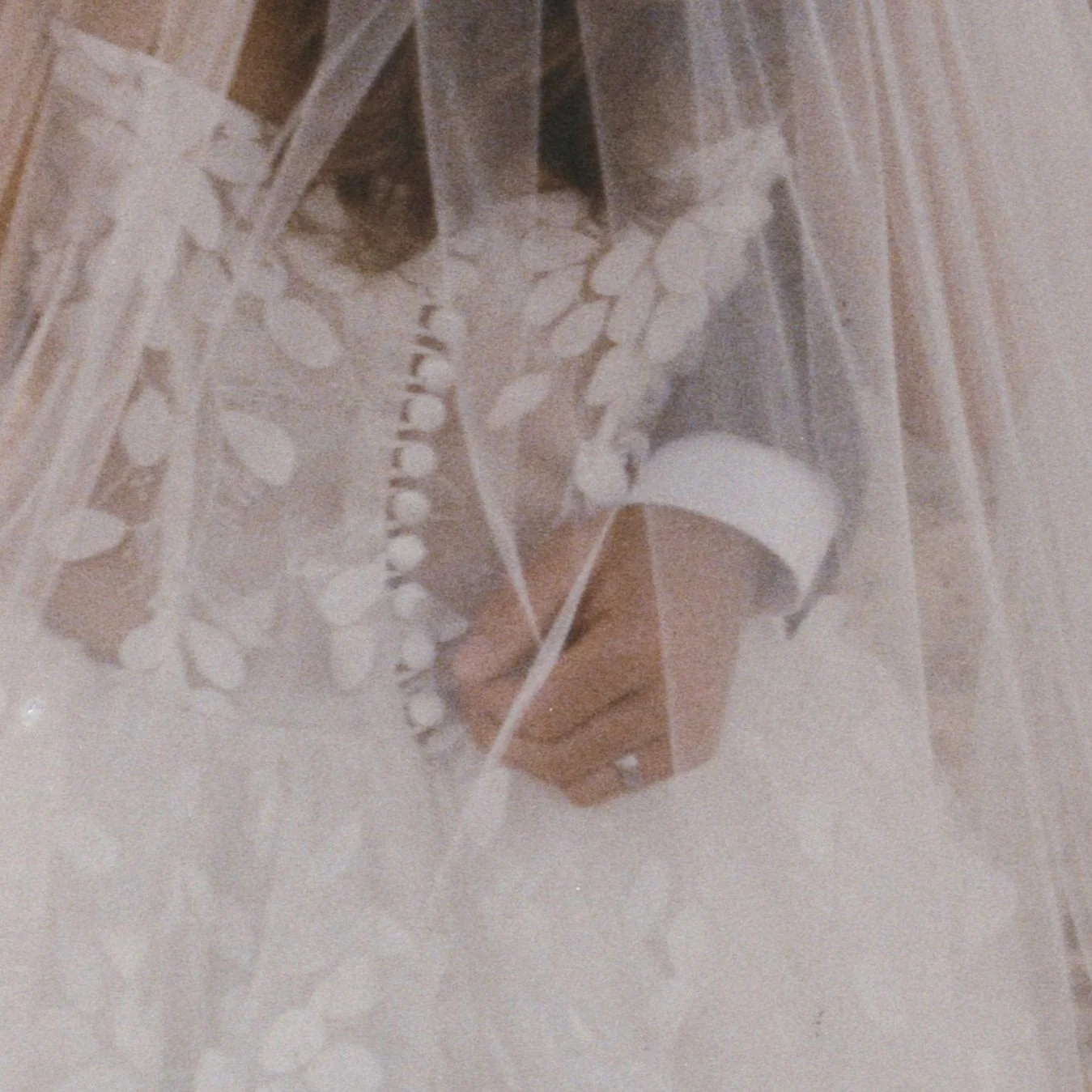 A gift wrapped in clear cellophane with a white ribbon, placed on top of a wooden surface, with some foliage decorations nearby.
