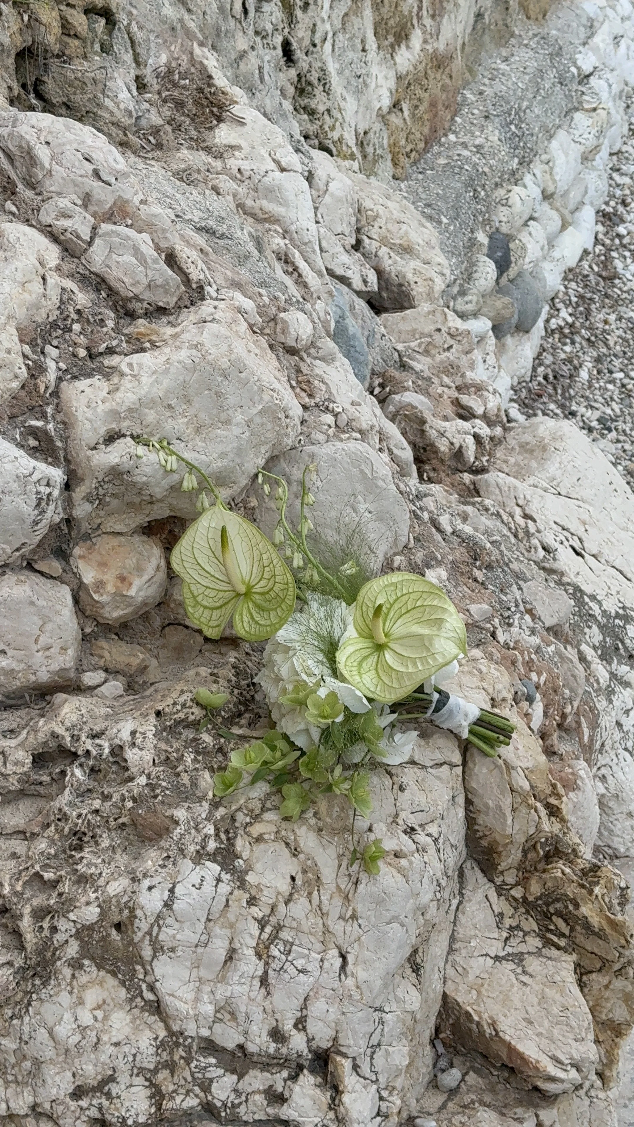 A small bouquet of white and green flowers resting on rocky terrain.